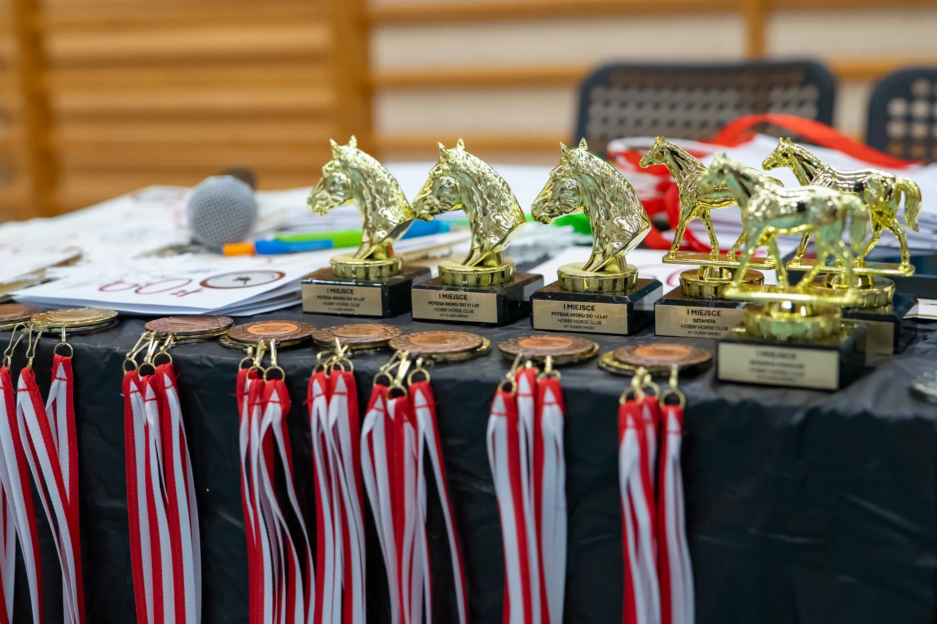 Zawody Hobby Horse - konkurencje, zasady i kategorie wiekowe