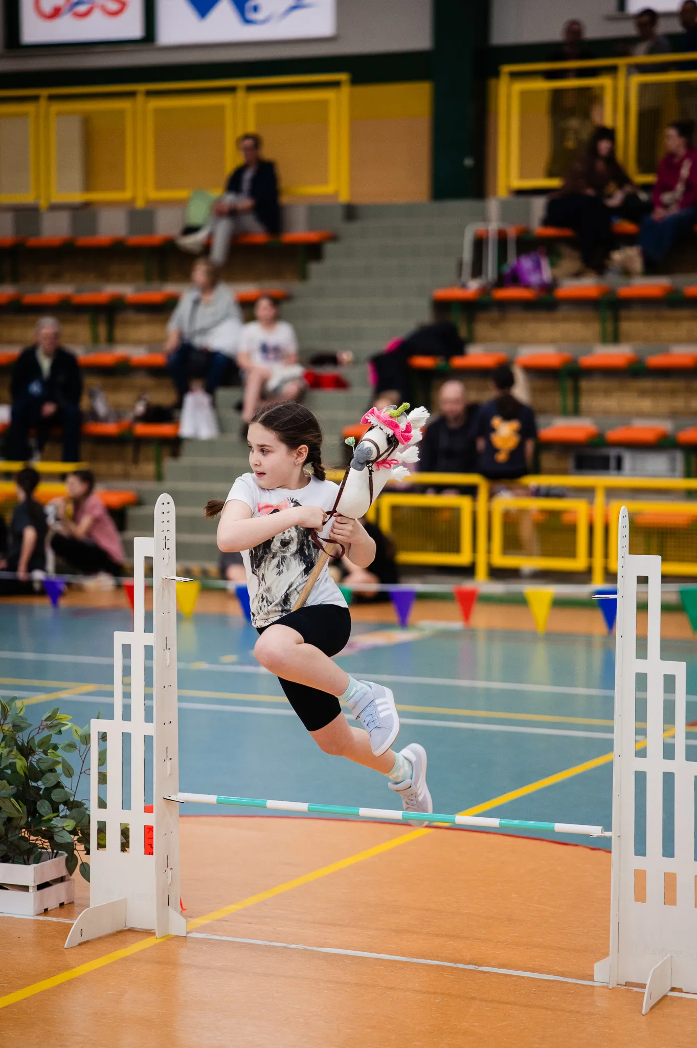 Galeria zdjęć 7