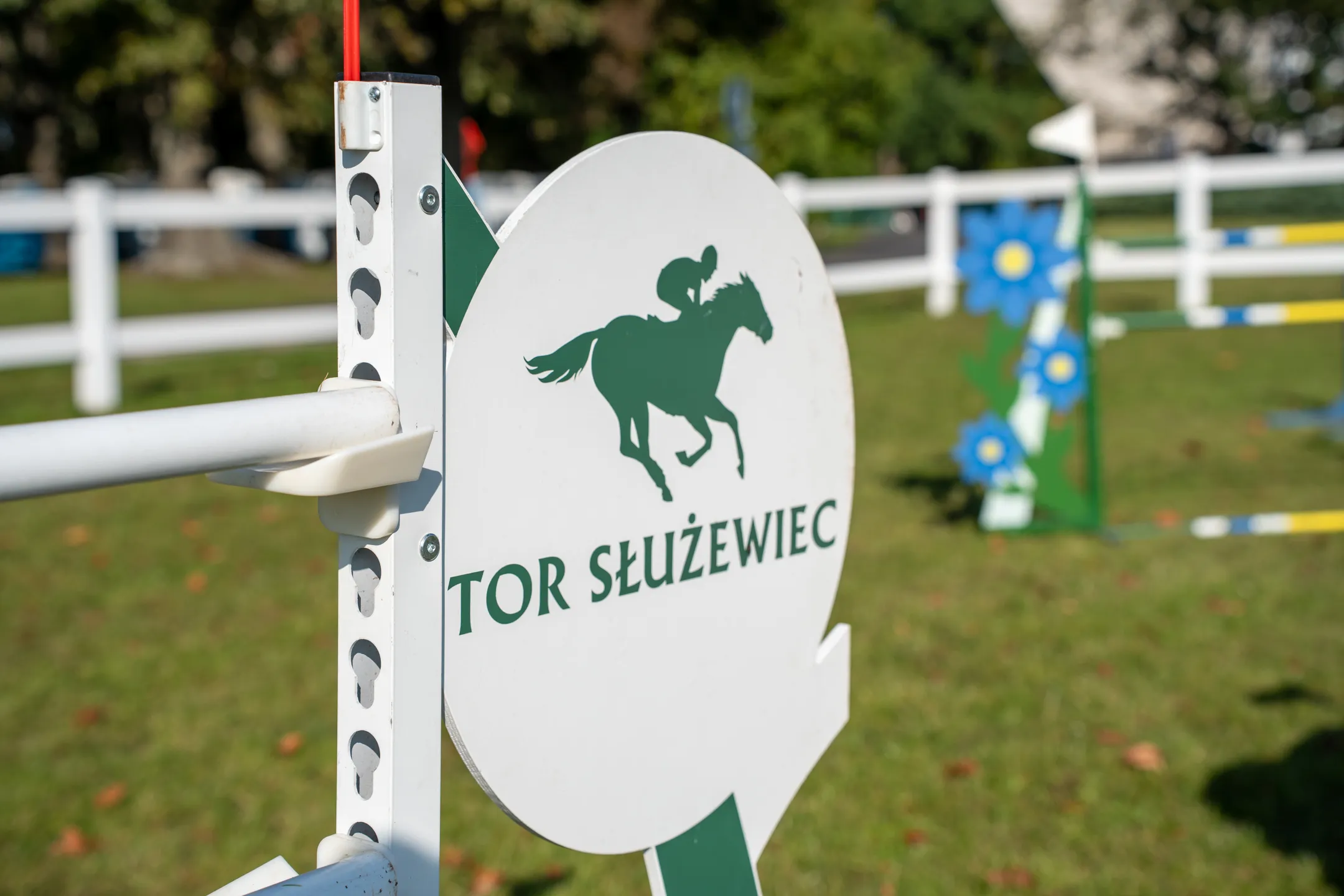 Galeria zdjęć 6